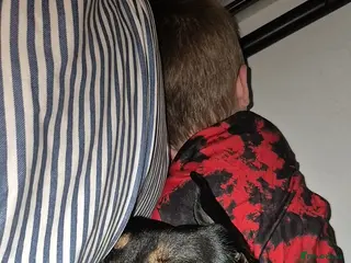 Mixed Breed dogs Staff x lab 2 year old - Advert 13