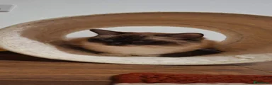 Aga