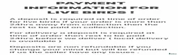 Quail poultry for sale: QUAILS/CHINESE PAINTED BUTTONS ! - Advert 36