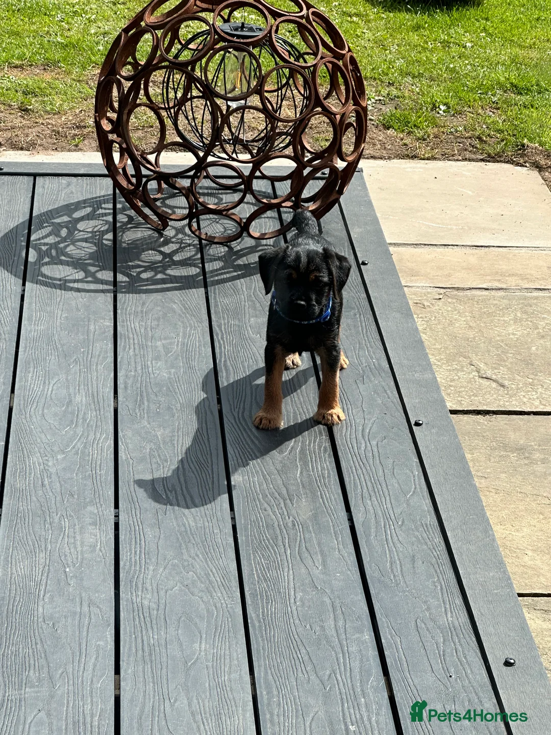 Gallery Image {{count}}