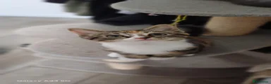 N/A