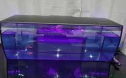 Other/Mixed Breed fish for sale: Fluval Fish Tank 123L - Image 1