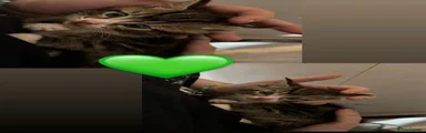 💚