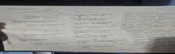 Fell horses for sale: Registered Fell Linnel Brackenbank Greenholme line in Rochdale - Advert 7