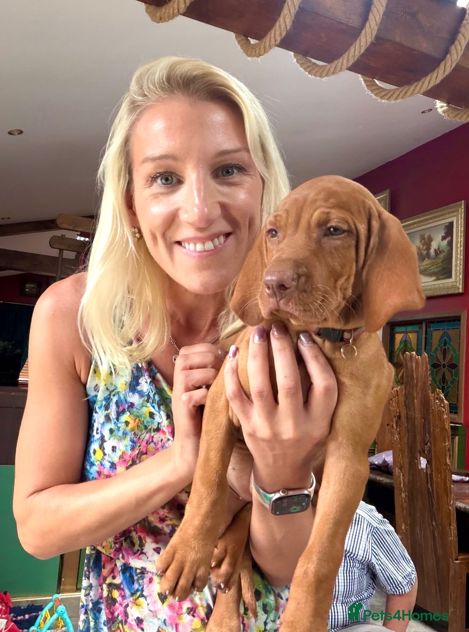 Hungarian Vizsla dogs Ready to leave! Happy healthy KC Hungarian Vizslas - Advert 15