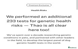 Maltese dogs for stud: ✨Exquisite DOLL KC Korean Maltese Stud DNA Clear ✨ - Image 8