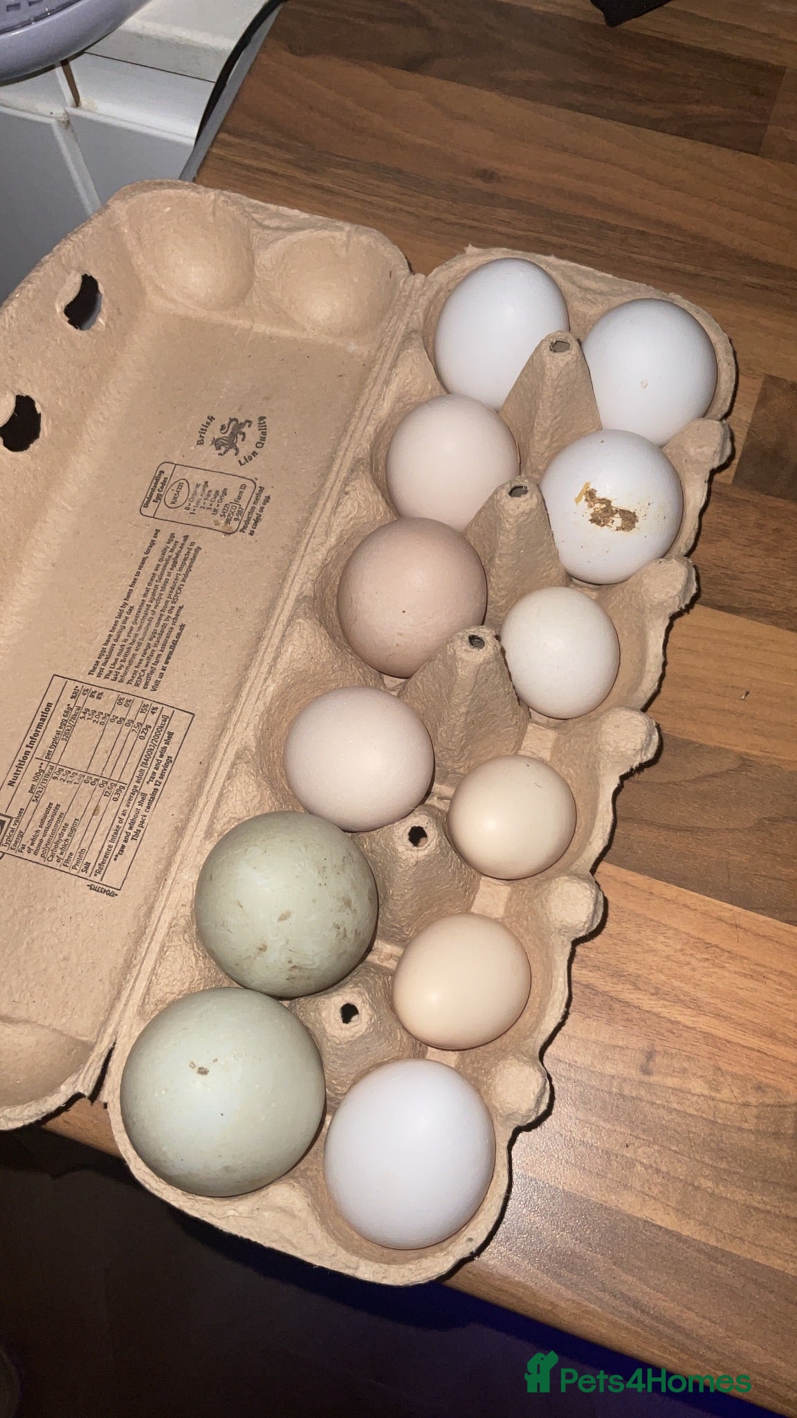 Chickens poultry Indian runner ducks and chicks available soon! - Advert 1