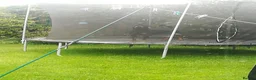 Rottweiler dogs for stud: Male rottweiler stud in Liverpool - Advert 5