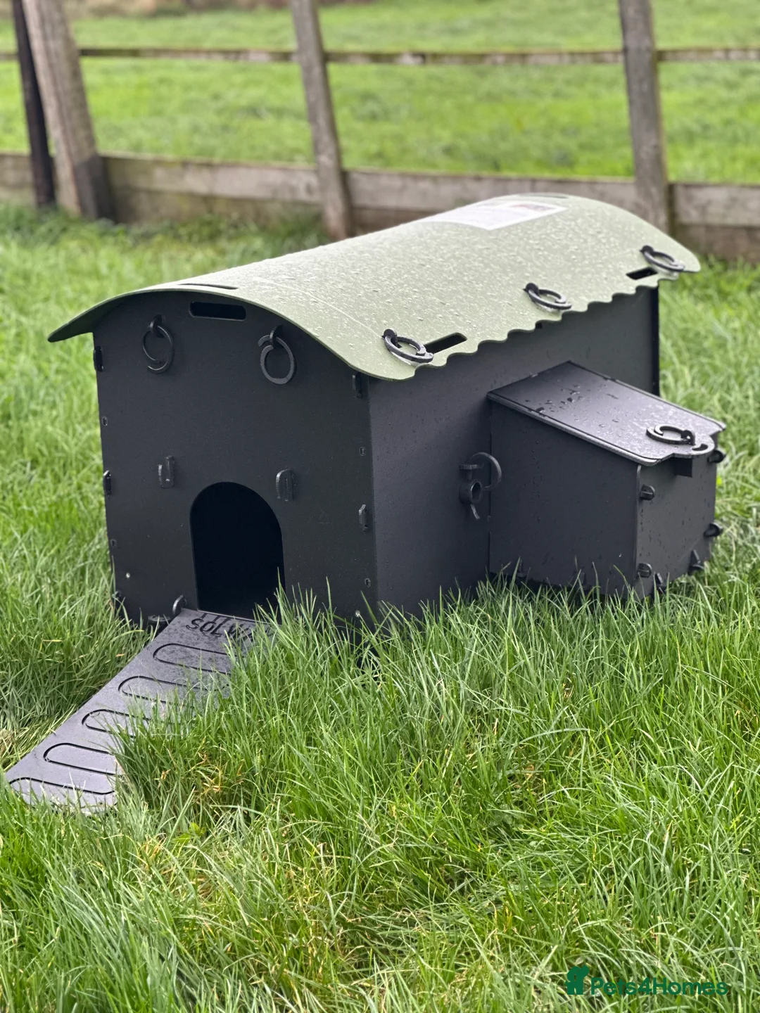 Mixed Breed poultry for sale: Mini Hen Coop - Recycled - 3/4 Birds - Advert 1