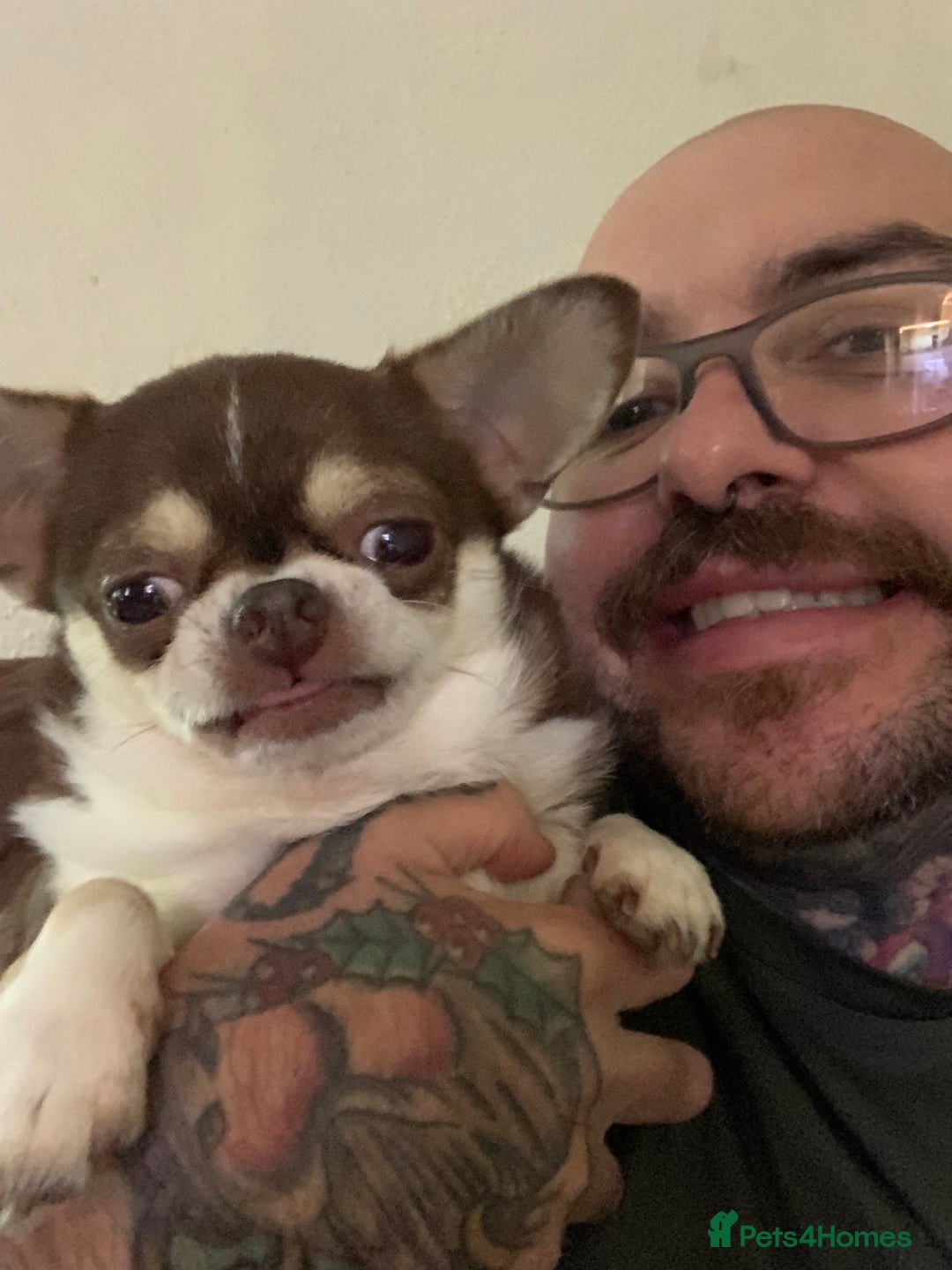 Gallery Image {{count}}