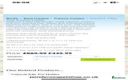 Parakeets birds for sale: Alexandrine and Full set up - Image 9