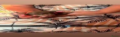 Jackshund 3