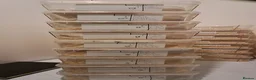 Corn Snake reptiles for sale: Baby corn snakes  in Romford - Advert 1