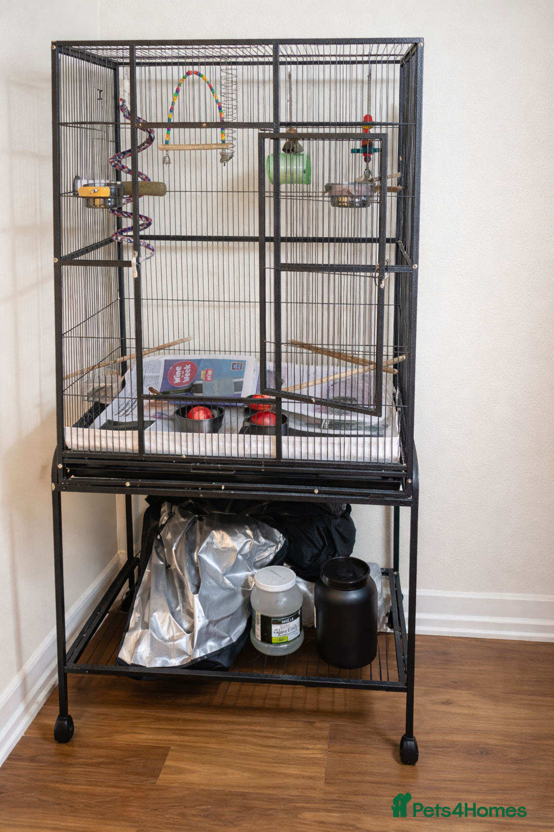 Ringnecks birds for sale: Breeding Pair For Sale  - Advert 3