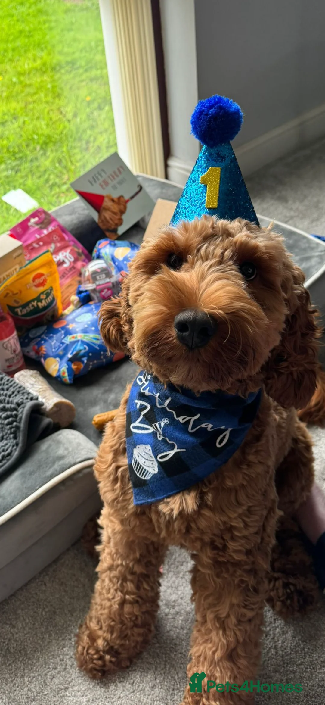 Gallery Image {{count}}