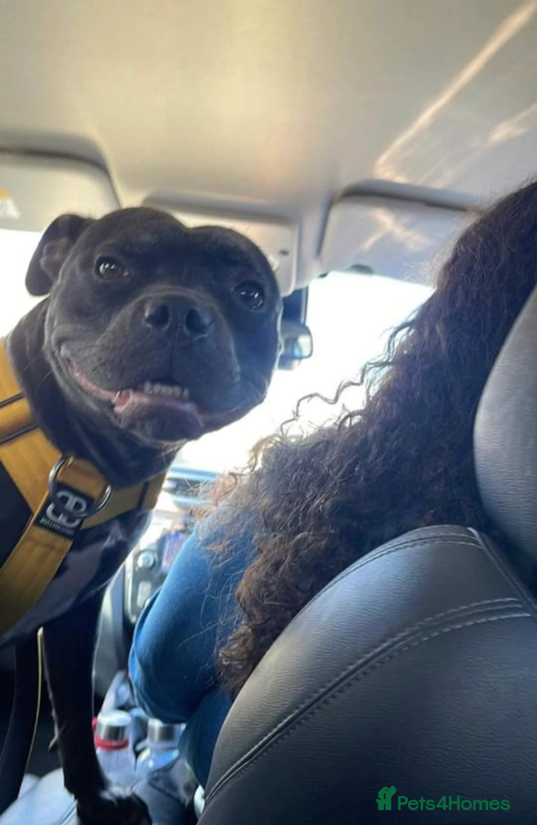 Gallery Image {{count}}