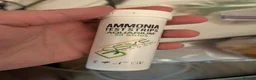 Tetras fish for sale: Well Established Fluval Fish Tank in Runcorn - Advert 4