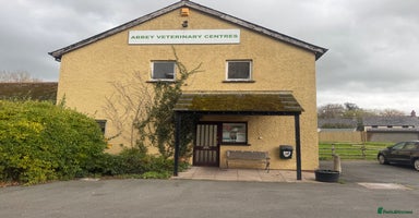 Cockapoo dogs - Advert 8