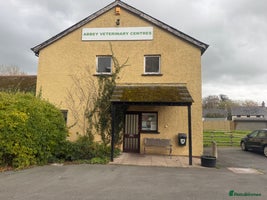 Cockapoo dogs - Advert 8