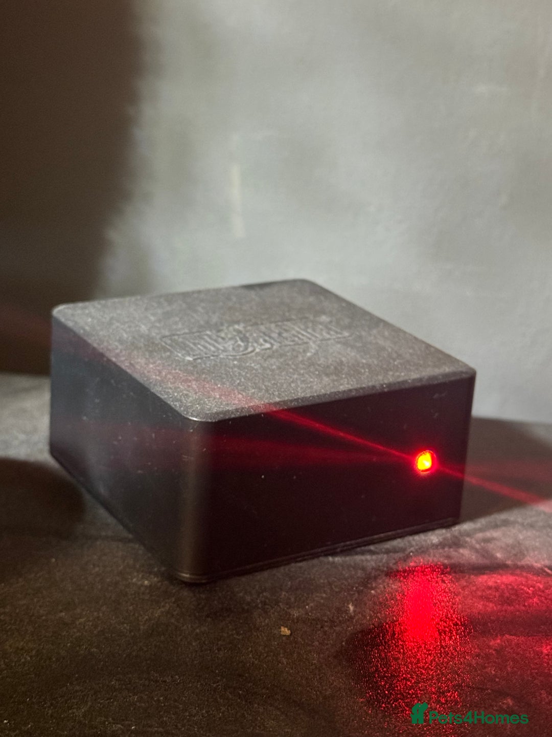 Python Snake reptiles for sale: Beautiful male inferno morph ball python  - Advert 10