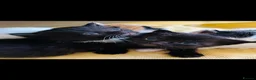 Mixed Breed cats for sale: Kittens beautiful mixed breed 🐈🐈‍⬛🐈🐈 - Advert 8