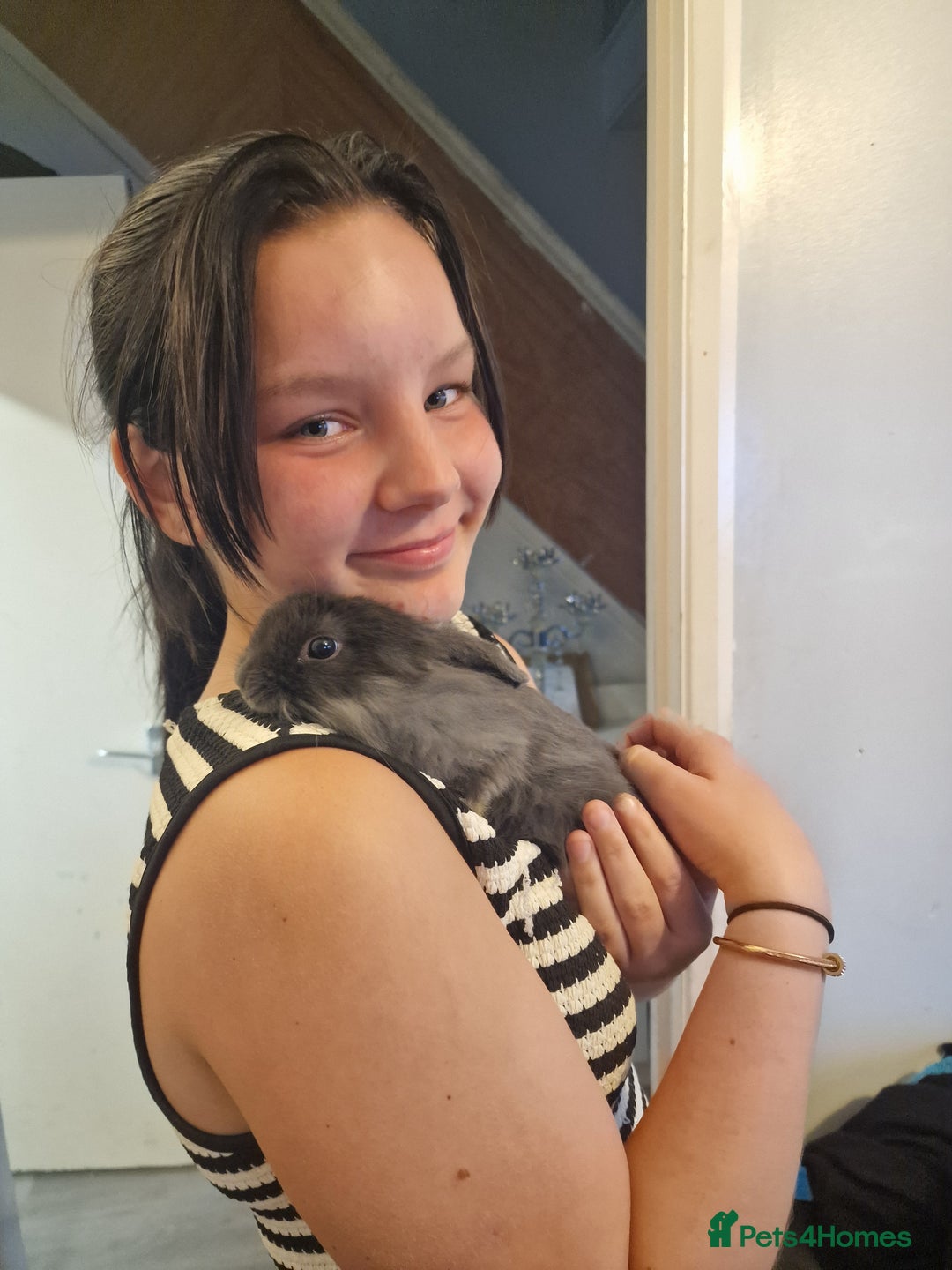 Mixed Breed rabbits for sale: 2 boy rabbits.  - Image 7