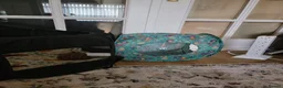 Guinea Pig rodents for sale: 2x male guinea pigs with full set up in Glenrothes - Advert 8