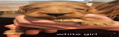 White girl
