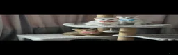 British Shorthair cats for sale: British Shorthair kittens  - Advert 7