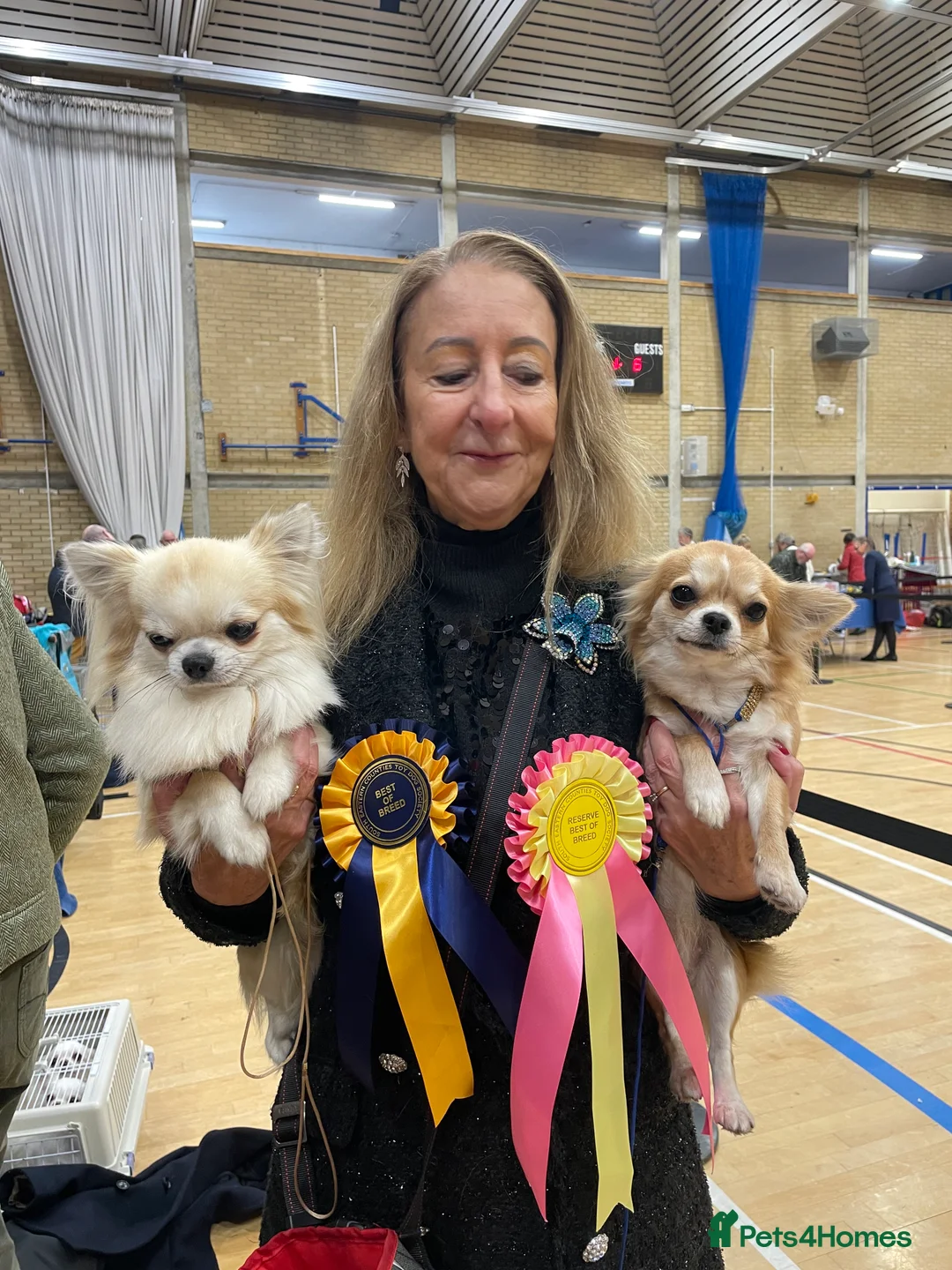 Gallery Image {{count}}