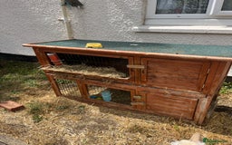 English Lop rabbits for sale: 2 male rabbits and H hutch for sale - Image 1