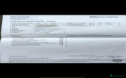 Miniature Dachshund dogs for sale: Mini Dachshund puppies, PRA clear, health tested - Image 5