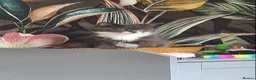 American Shorthair cats for sale: Brother and sister looking for a new home.  - Advert 9