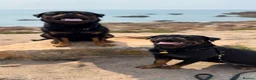 Rottweiler dogs for sale: Expecting Rottweiler pups - ready end of May  - Advert 31