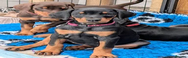 Winnie