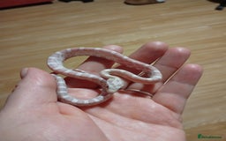 Corn Snake reptiles for sale: Baby corn snakes - Image 2