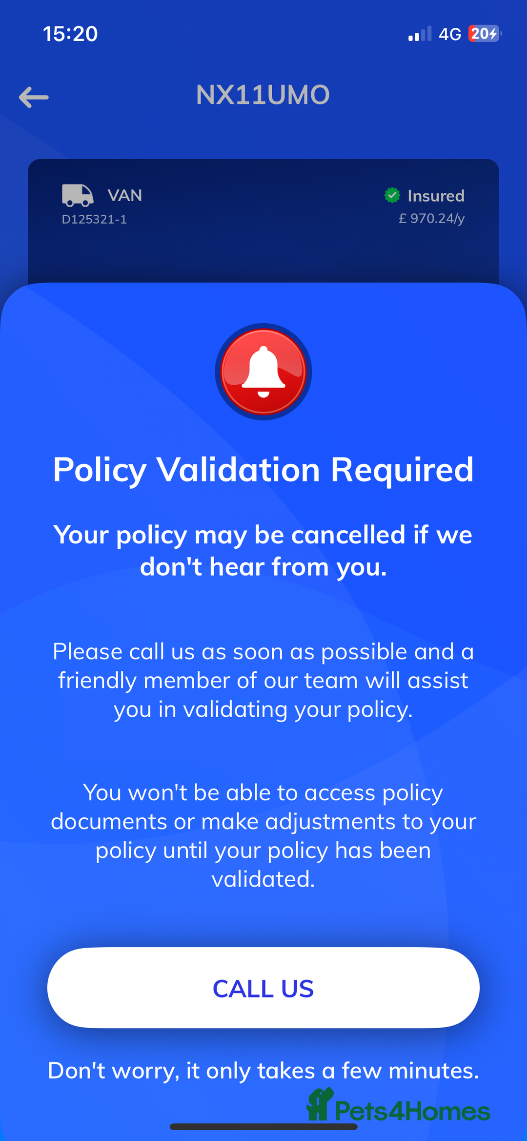 Cocker Spaniel dogs for sale: Beautiful Litter of 5 working cocker spaniels - Advert 6