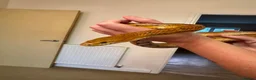 Corn Snake reptiles for sale: Corn Snake & Vivarium in Huddersfield - Advert 2