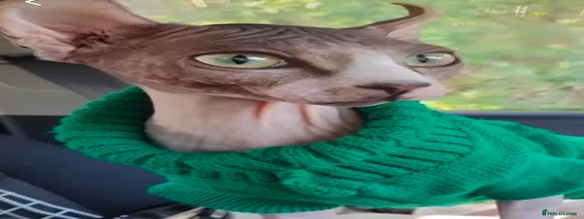 Delun