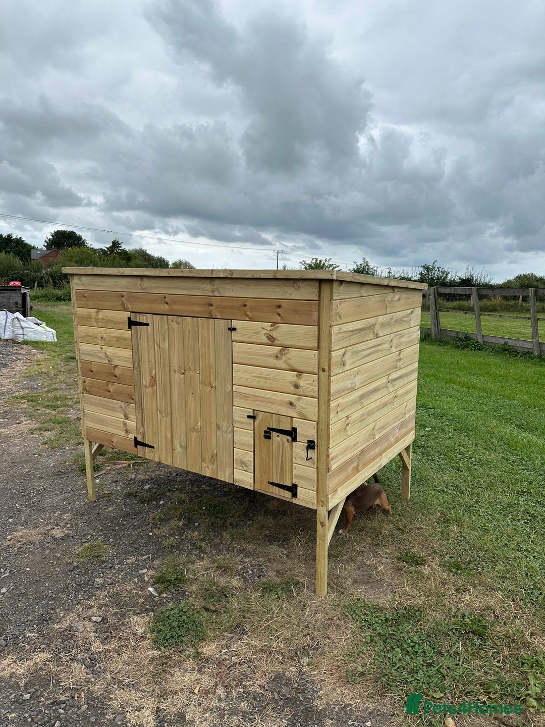 Chickens poultry for sale: Chicken Coops - excellent quality - British Made - Image 1