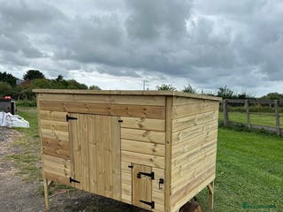 Chickens poultry Chicken Coops - excellent quality - British Made - Advert 4