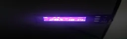 Bearded Dragon reptiles for sale: Bearded dragon and full set up - Advert 7