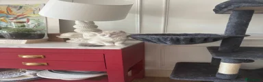 Ragdoll 2