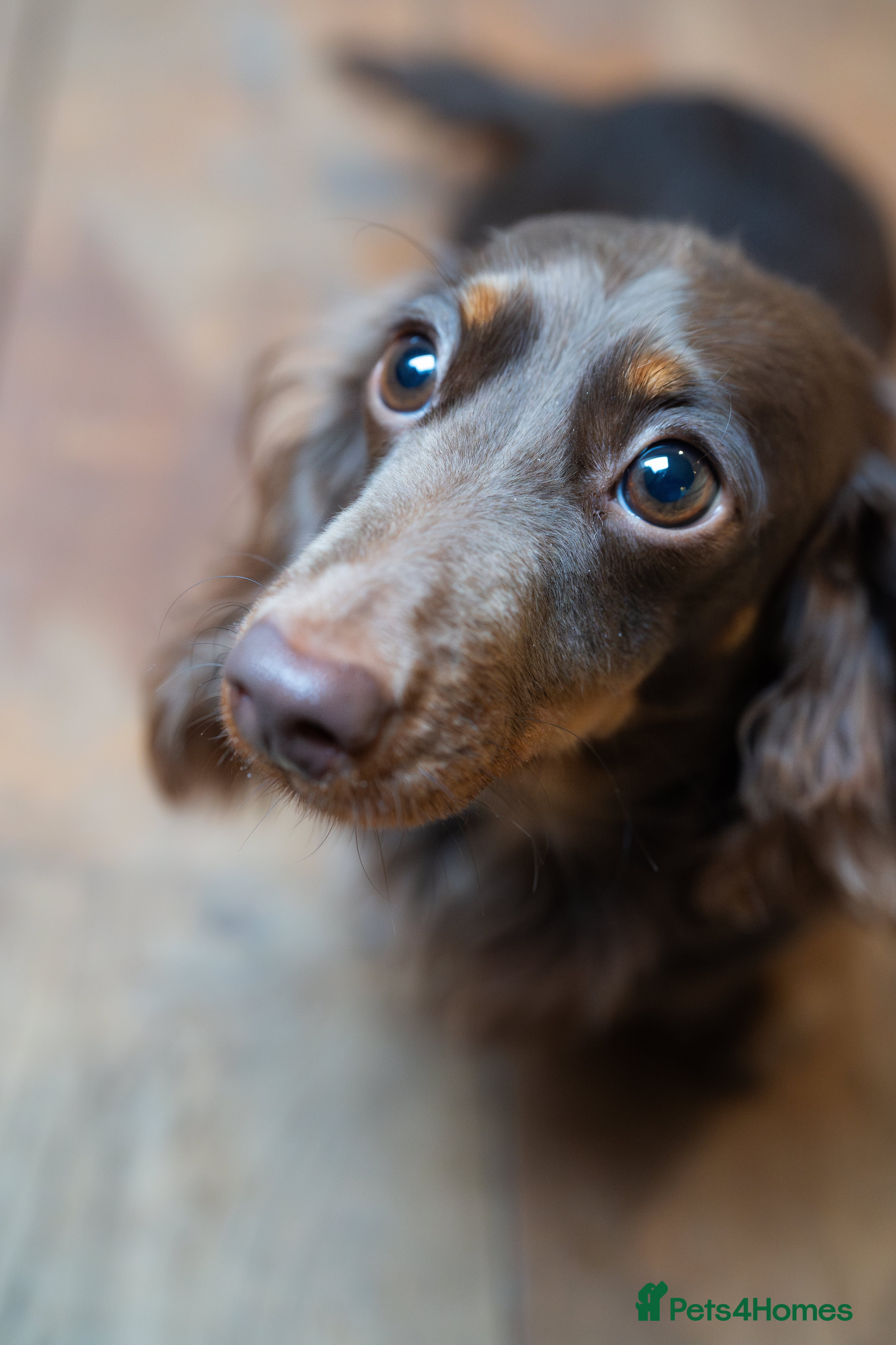 Marley
