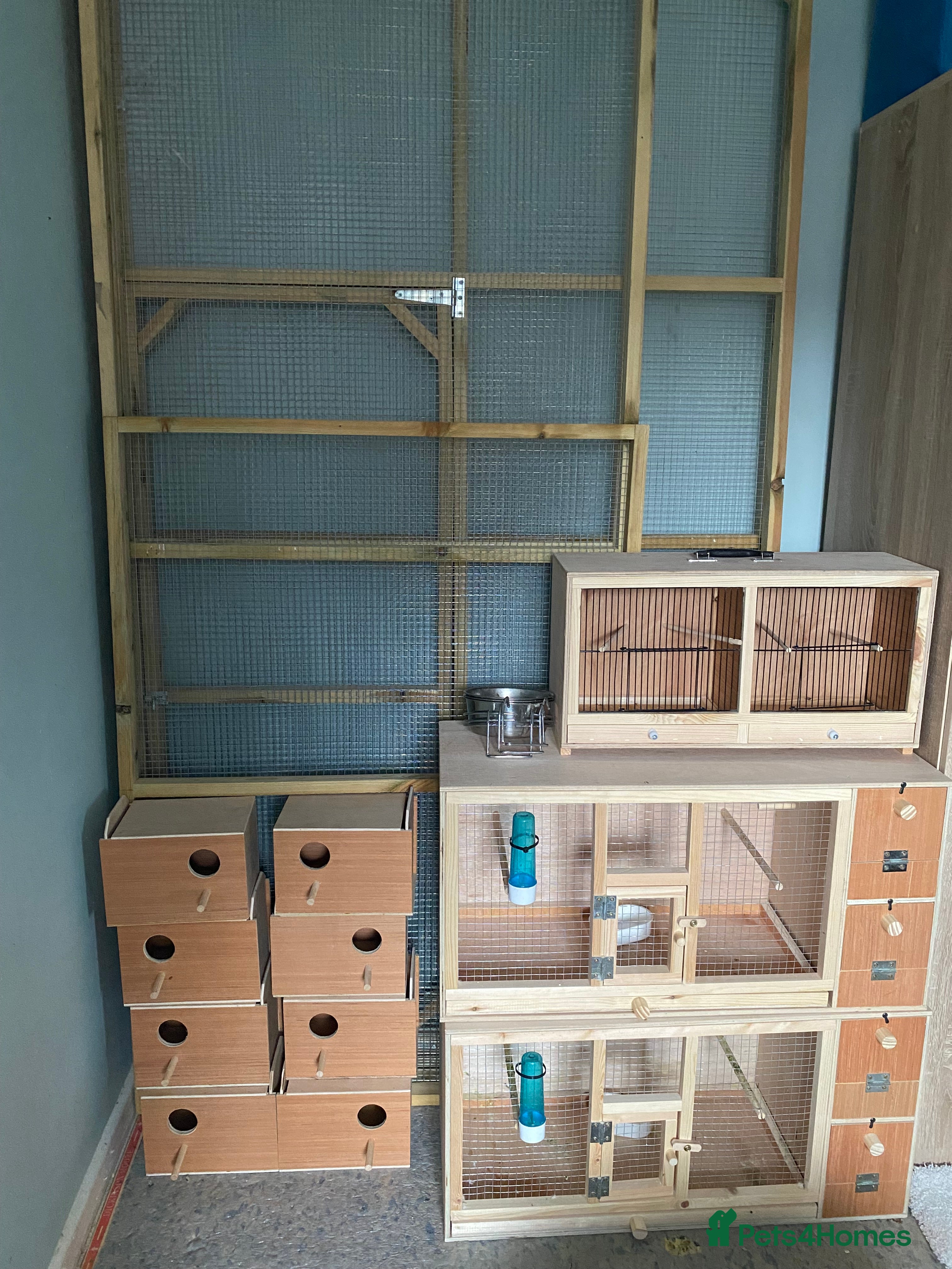 Budgerigars birds Variety Of Cages - Advert 17