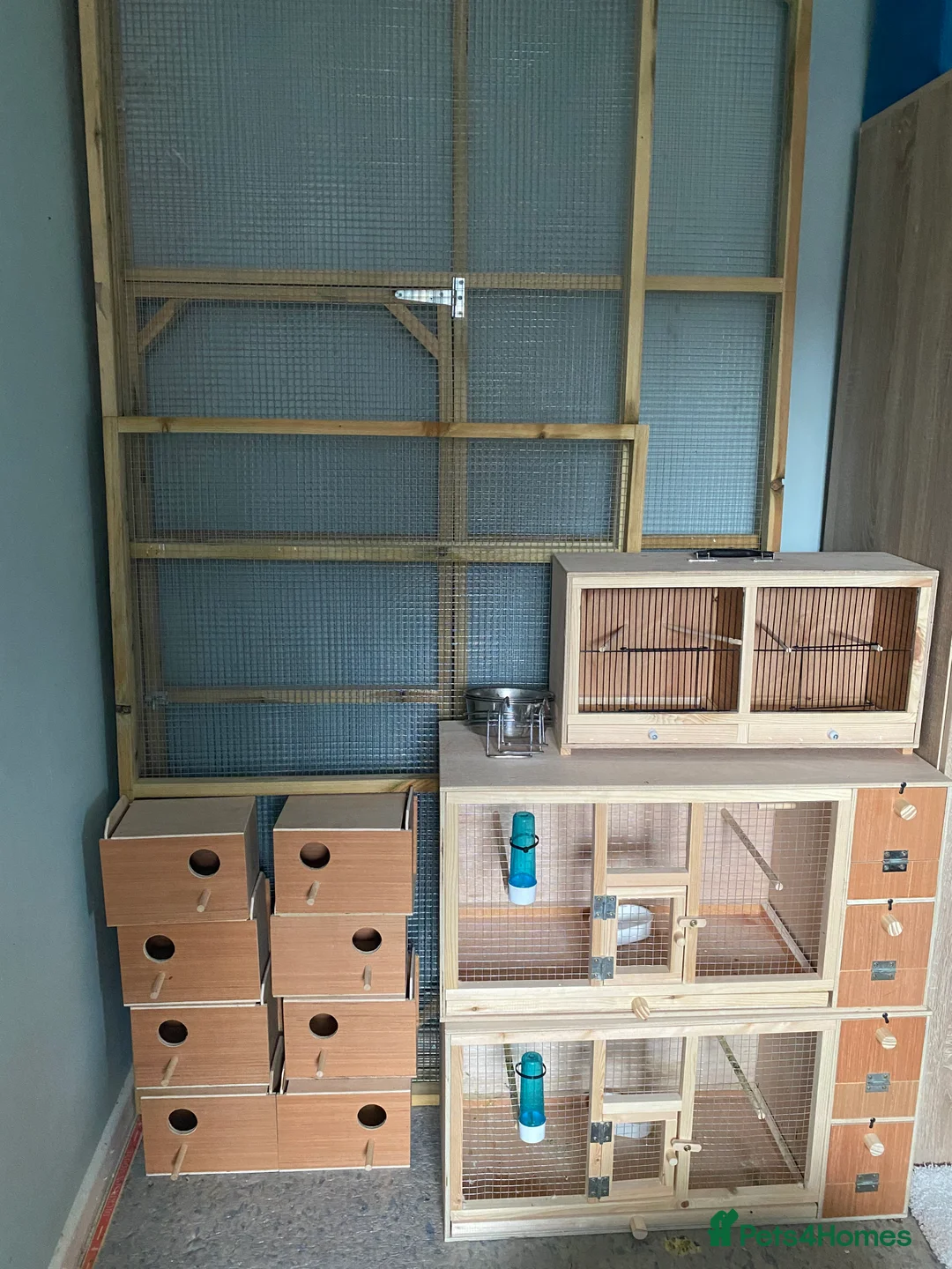 Budgerigars birds for sale: Variety Of Cages - Advert 1