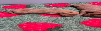 Trex Chomper