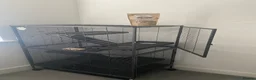 Rat rodents for sale: Rat cage  in Witney - Advert 1