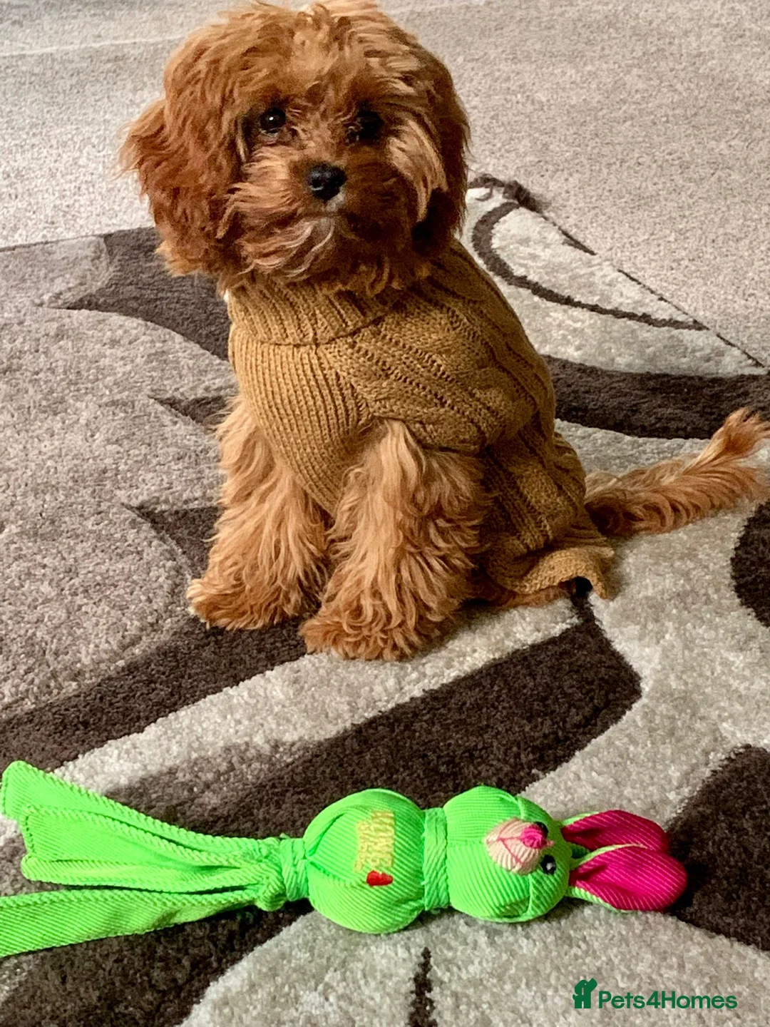 Gallery Image {{count}}