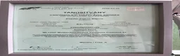 Hungarian Vizsla dogs for sale: KC Registered Vizsla Boy-Family Pet-J-2026-Litter - Advert 15